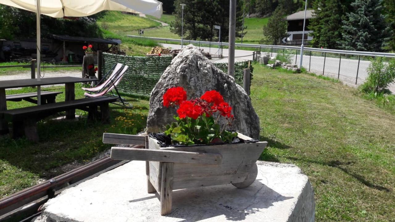 Ciasa Ciampedie Vigo di Fassa Eksteriør billede